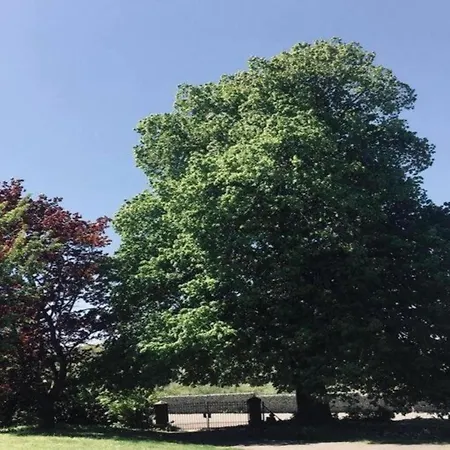 Stylish Duplex With Sauna بيت للعطل