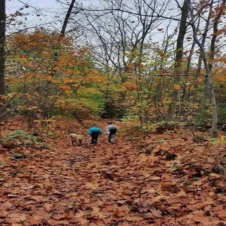 بيت للعطل Stylish Duplex With Sauna