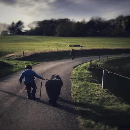 Stylish Duplex With Sauna Дом отдыха Модав
