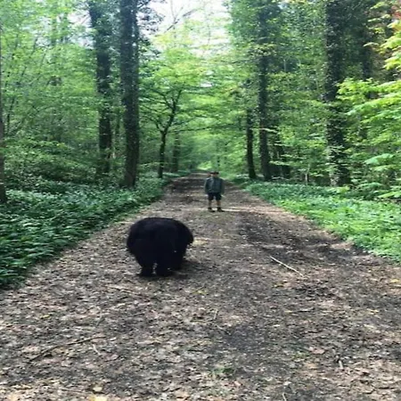 Stylish Duplex With Sauna Modave