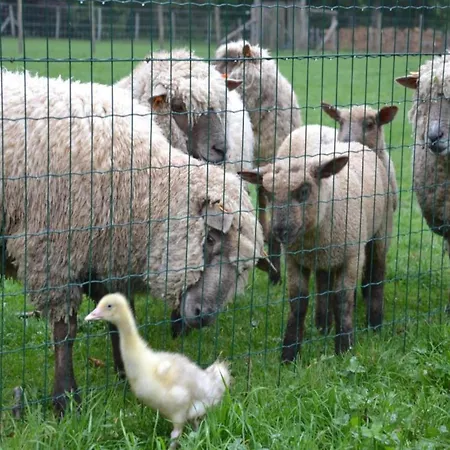 Дом отдыха Stylish Duplex With Sauna Модав